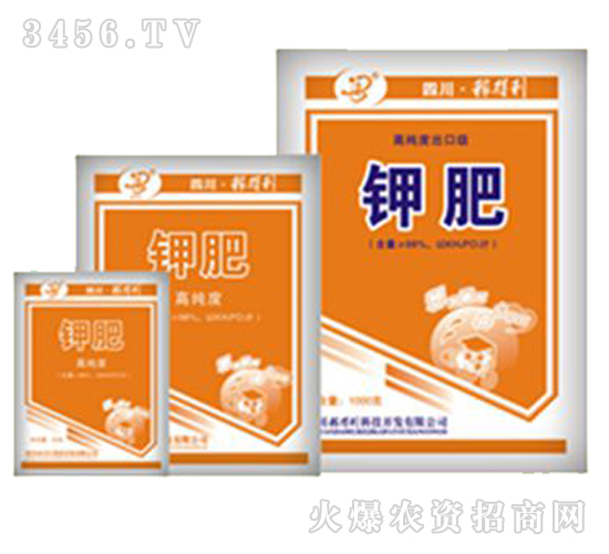 �ڵ���-⛷�