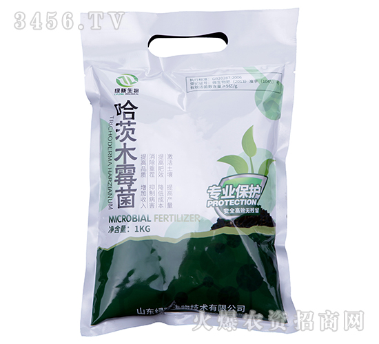 ����ľù��-�G�]����