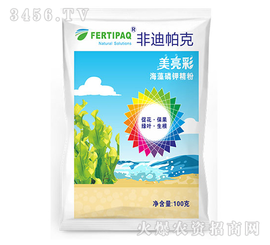 ������⛾���-������-�ǵ�����