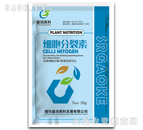 ����������-ʢ���߿�