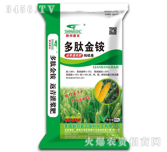 ���Ľ��@������{��-(li��n)��μ�