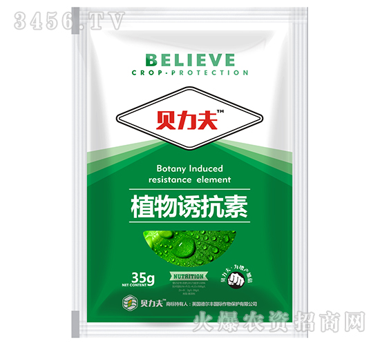 ֲ���T����(��)-ؐ����-� ��S