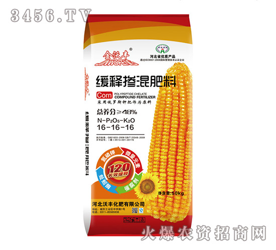 ��ጓ������16-16-16-���S