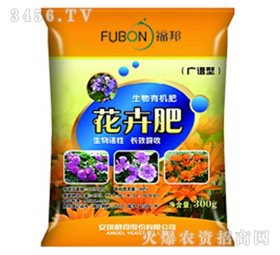 ���ܷ�-����-����