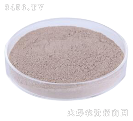 ��(f��)��ѿ�ߗU��-�G�]����