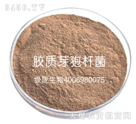 �z�|ѿ�ߗU��-�G�]����