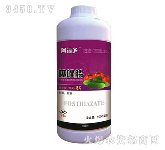 5%����좚�����-������-����ʘI(y��)