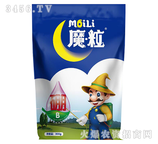 ħ�����~���-ħ���ʘI(y��)