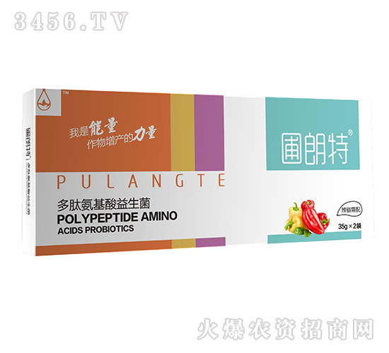 ��������-���İ�����������-������