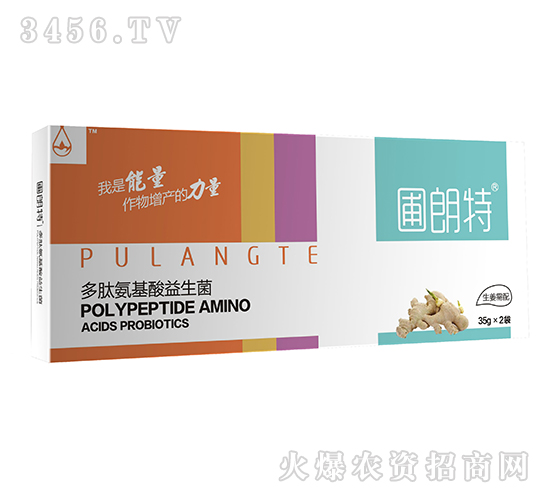 ��������-���İ�����������-������