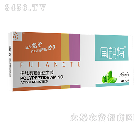 �V�Vͨ��-���İ�����������-������