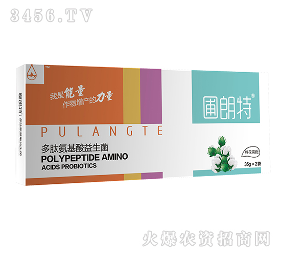 �޻�����-���İ�����������-������