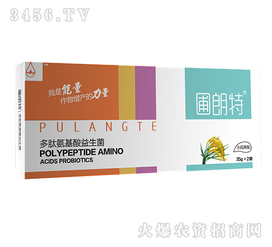 ˮ������-���İ�����������-������