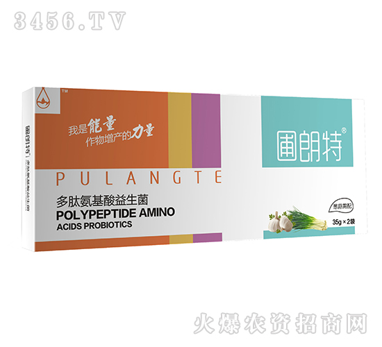 �[������-���İ�����������-������