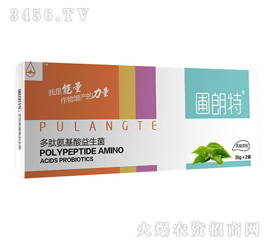 ��ɣ����-���İ�����������-������