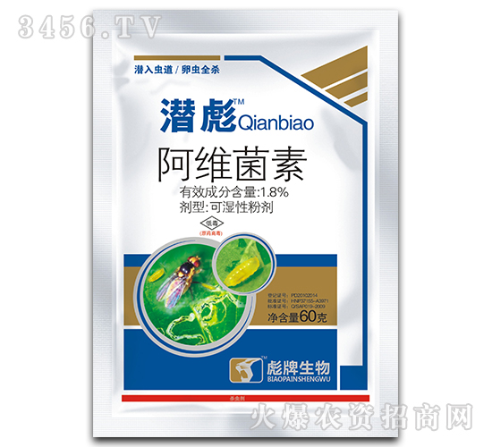 ����-�����x�����x���������E