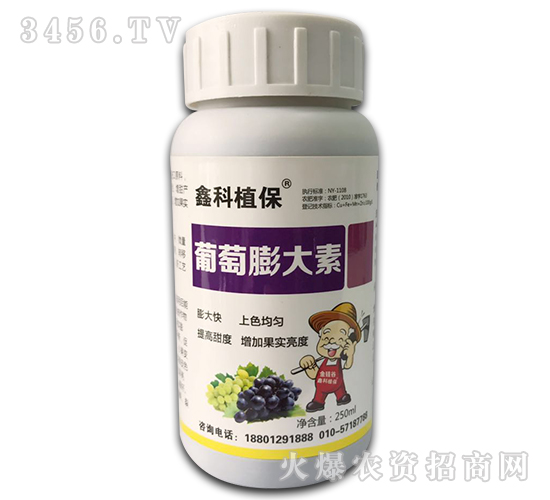 ���������-�ο�ֲ��