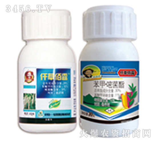 ���ס��׾���-Ǫ�ݰ�¶-�G�µ�