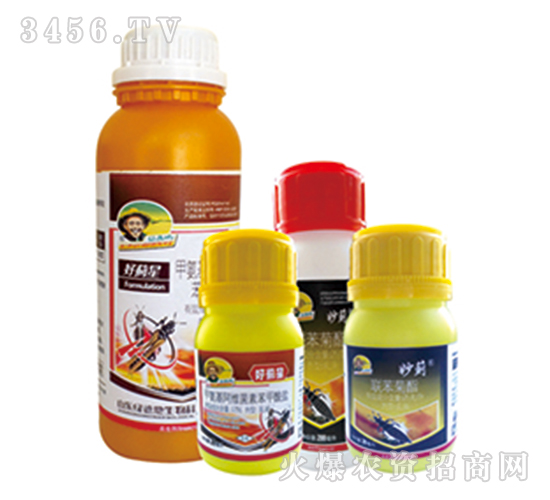 �װ������S���ر������}����-���E��-�G�µ�