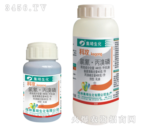 ���衤����������-��M��-����