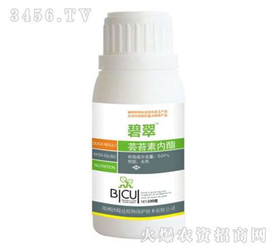 �|̦�؃�(n��i)��������-�̴�-ɳ¡�_(d��)