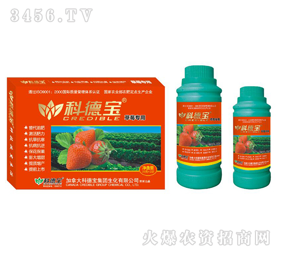 ��ݮ���àI(y��ng)�B(y��ng)���a(ch��n)�{(di��o)�턩-�Ƶ�