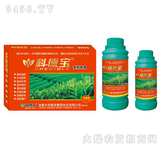 ��䌣�àI(y��ng)�B(y��ng)���a(ch��n)�{(di��o)�턩-�Ƶ�