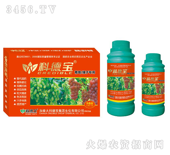 ���������ӌ��àI�B(y��ng)���a(ch��n)�{(di��o)�턩-�Ƶ�