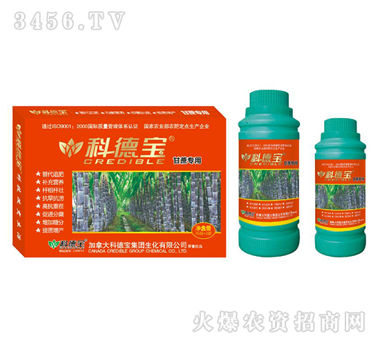 ���ጣ�àI�B(y��ng)���a(ch��n)�{(di��o)�턩-�Ƶ�