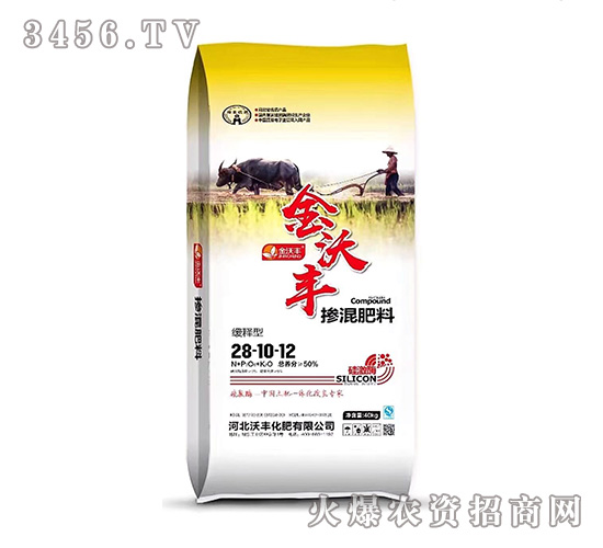 ����͓������28-10-12-�����S