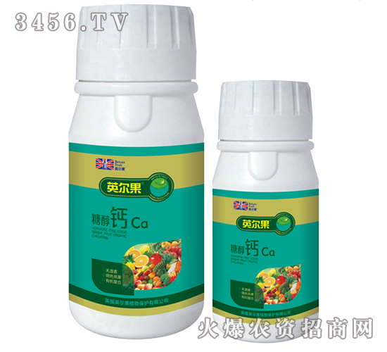 �Ǵ��}-Ӣ����