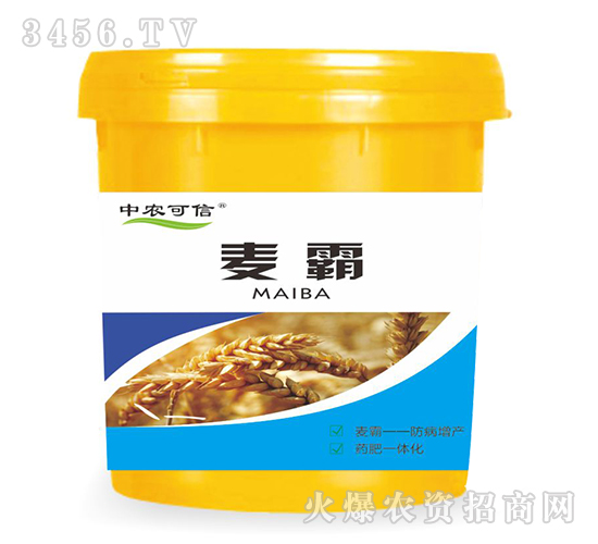 ���ԣ�С�����ã�-���r(n��ng)����