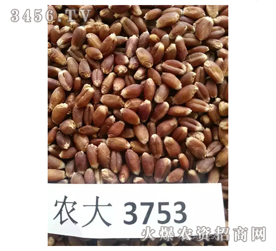 �r(n��ng)��3753-С���N��-�r(n��ng)�־G