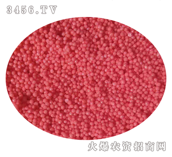 �������С�w�����t��-���r(n��ng)�ʘI(y��)