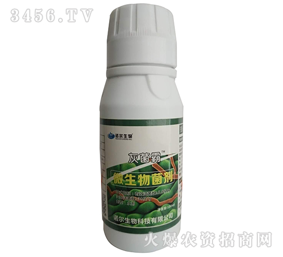 ������-�Ҿ���-�Z������