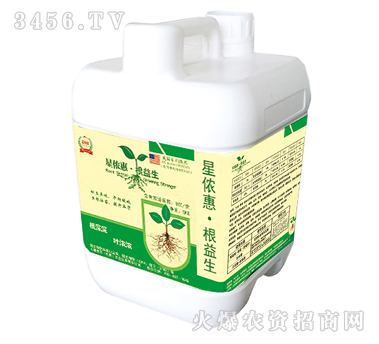 �ǃz�ݸ�����-���ǻ��r