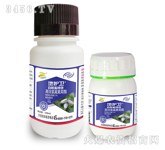 �׷�ʭ��Чˎ-���o�l(w��i)-����