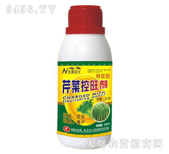 �۲˿�����-�����r��