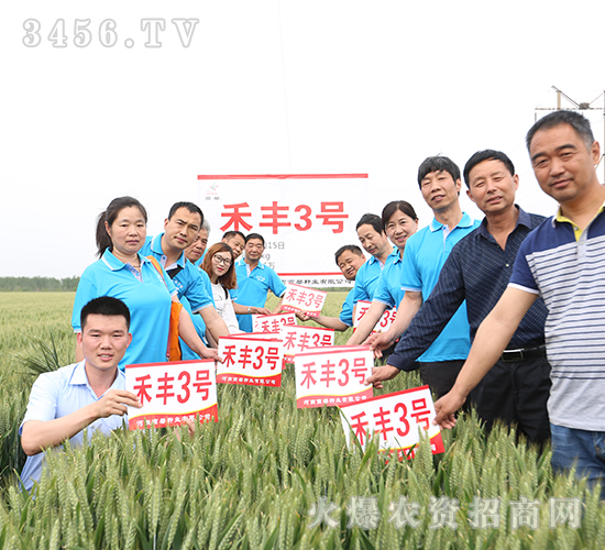 ���S3̖(h��o)������