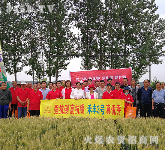 ���S3̖������