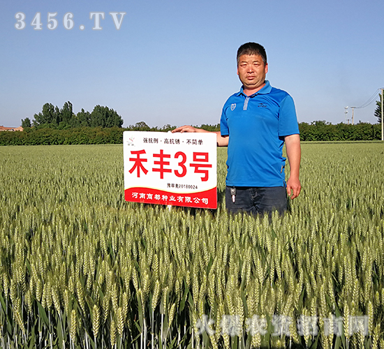 ���S3̖(h��o)������