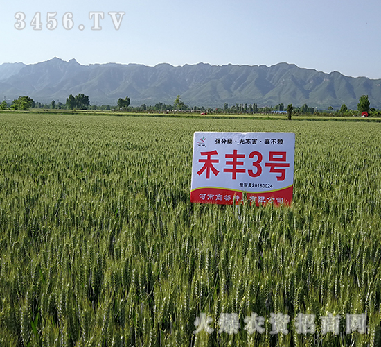 ���S3̖���ˣ�