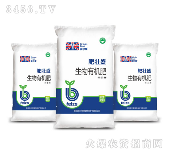 �����ЙC(j��)��-�ʉ�ʢ-Ӣ����