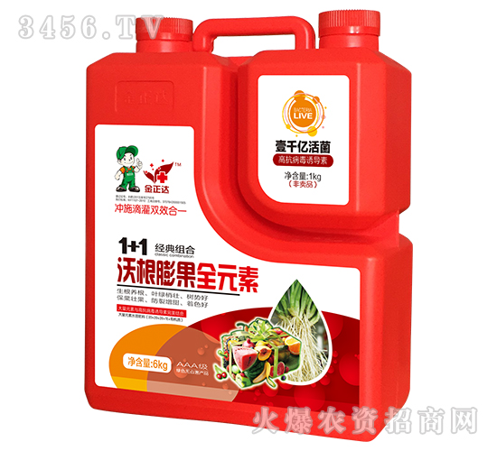 �ָ����ȫԪ��-�����_�r(n��ng)