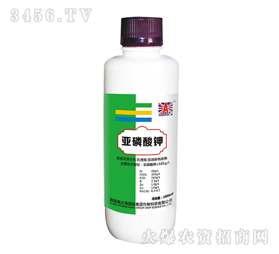 �������-Ӣ��(gu��)�W��ɭ