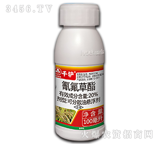 20%�������-ǧ�P-�к����_(d��)