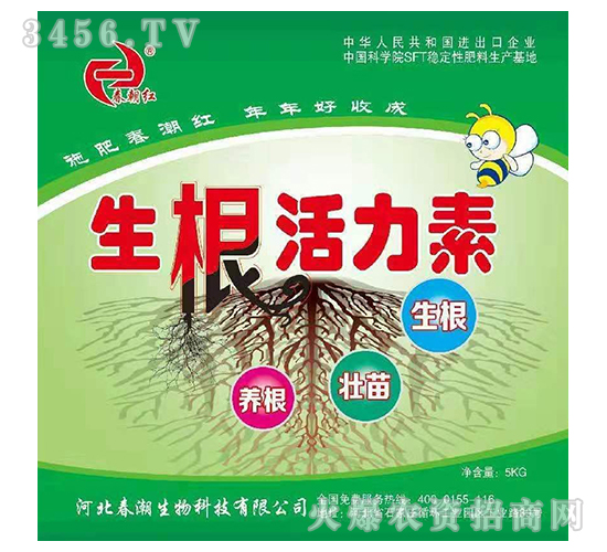 ����������-�����t-����