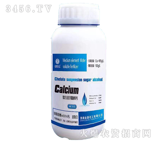 ���ϑҸ��Ǵ��}-��Ȫ����