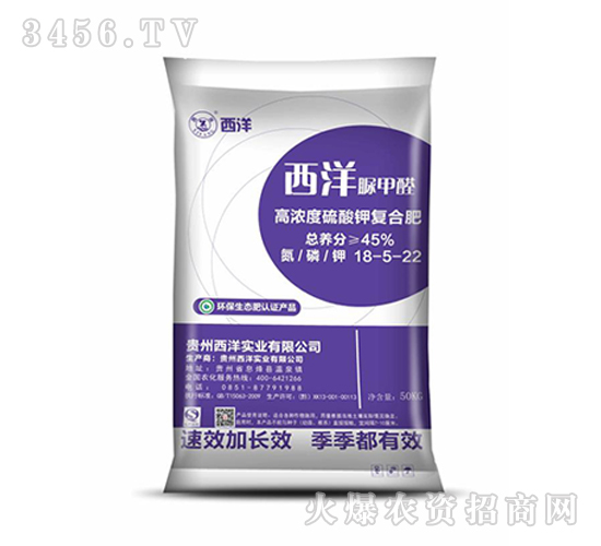 �ߝ������⛏�(f��)�Ϸ�18-5-22-���󌍘I(y��)