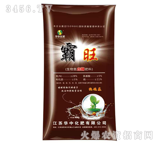 ���ﵪ��ø����-����-�A�л���